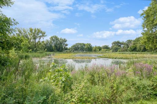 Mud Lake Park wetlands