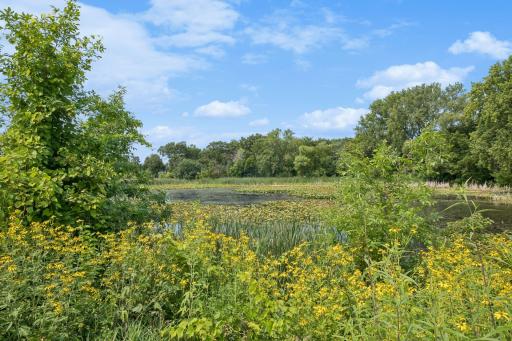 Mud Lake Park