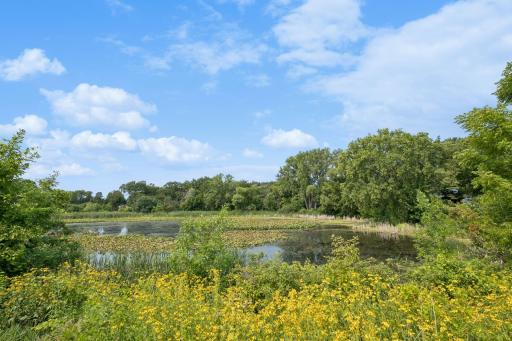Mud Lake Park