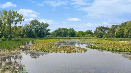 Mud Lake Park