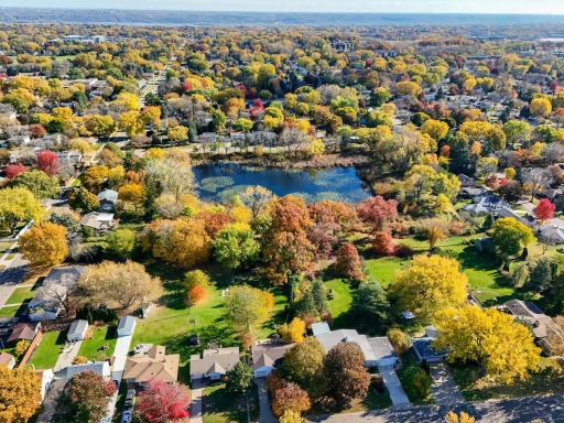 Beautiful Fall color!
