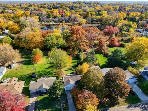 Beautiful Fall colors!