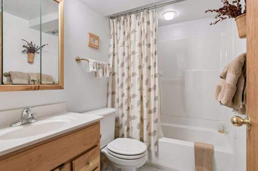 Full Bathroom in Lower Level!