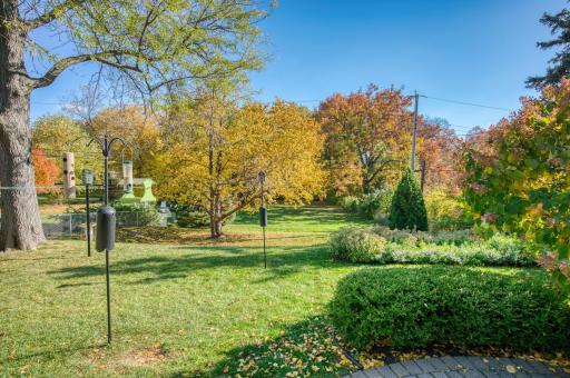 Backyard with gorgeous Fall color!