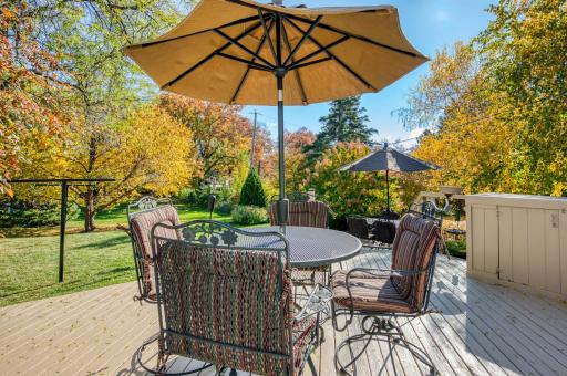Views in Fall Season