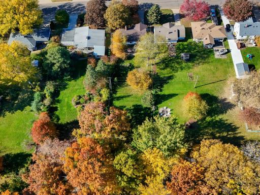 Beautiful Fall colors!