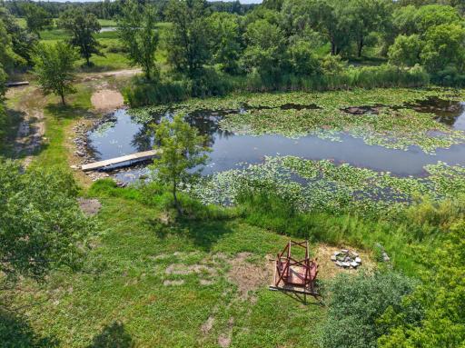 Pond