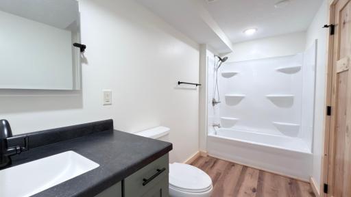 Lower Level Bathroom
