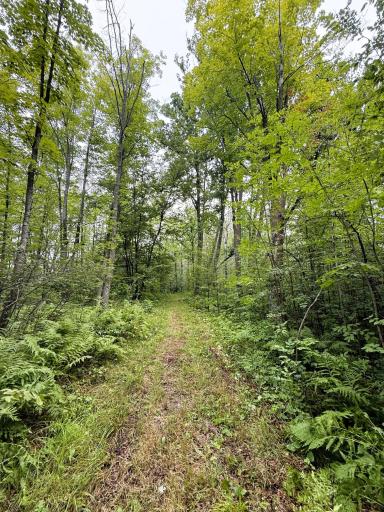 5080 Tower Road, Moose Lake, MN 55767