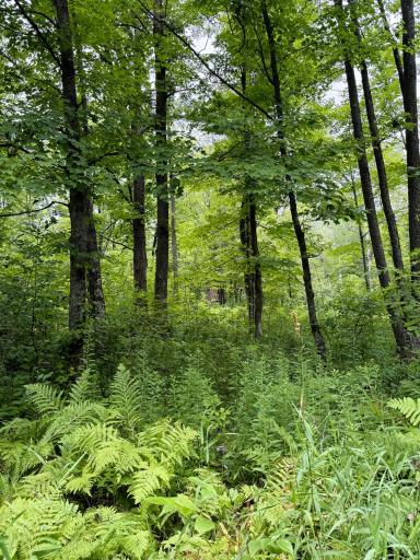 5080 Tower Road, Moose Lake, MN 55767