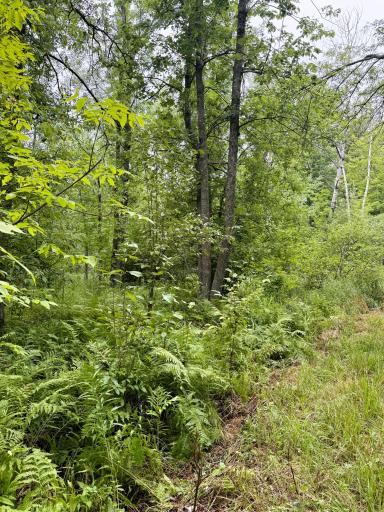 5080 Tower Road, Moose Lake, MN 55767