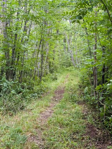 5080 Tower Road, Moose Lake, MN 55767