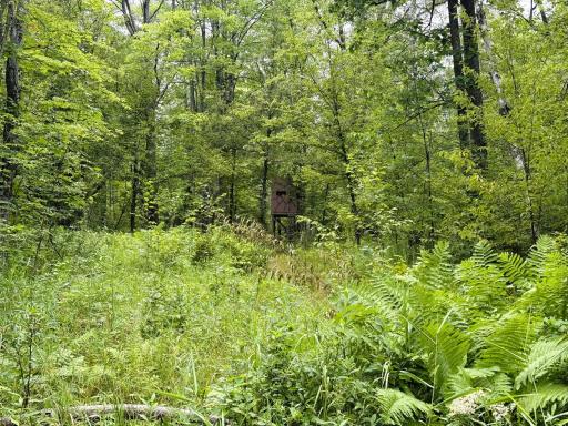 5080 Tower Road, Moose Lake, MN 55767