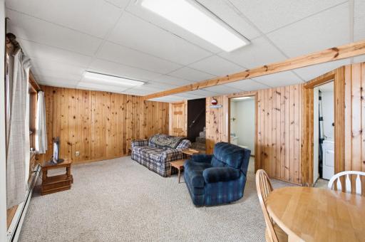 Lower level family room area