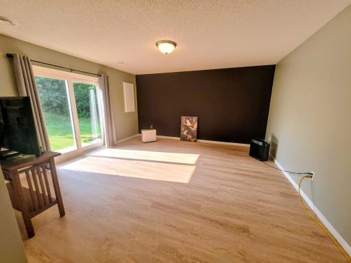 Lower Level Walkout Family Room