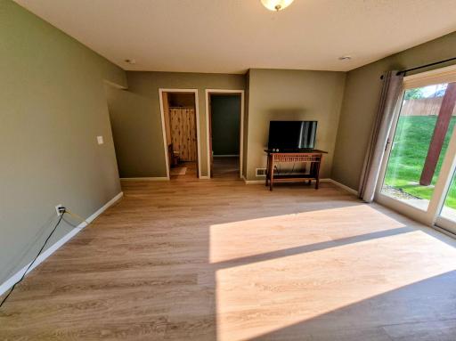 Lower Level Walkout Family Room