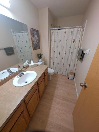 Lower Level 3/4 Bathroom