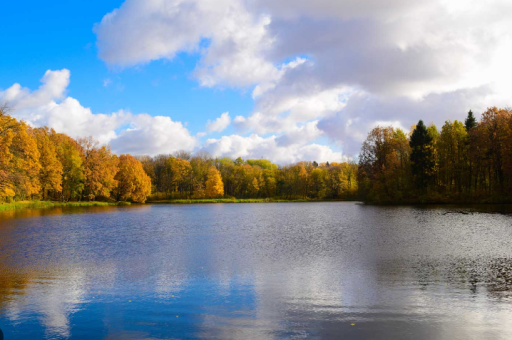 Sunfish Lake Park - Heritage Park, Sunfish Lake Park and other green spaces give residents easy access to nature, quiet walks, wildlife watching and seasonal recreation.PNG