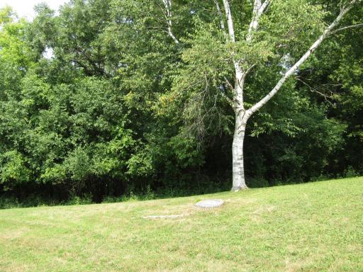 Private backyard.JPG