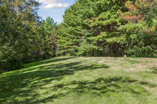 Lush lawn with a mound septic system.