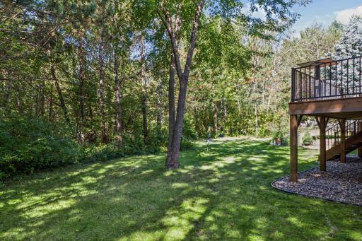 Areas are cleared in the woods for the use of the lawn.