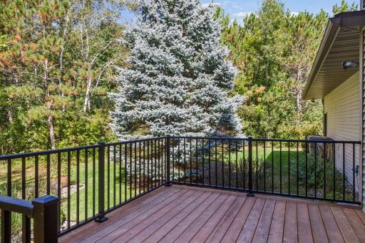 Trees surround the deck and back lawn.