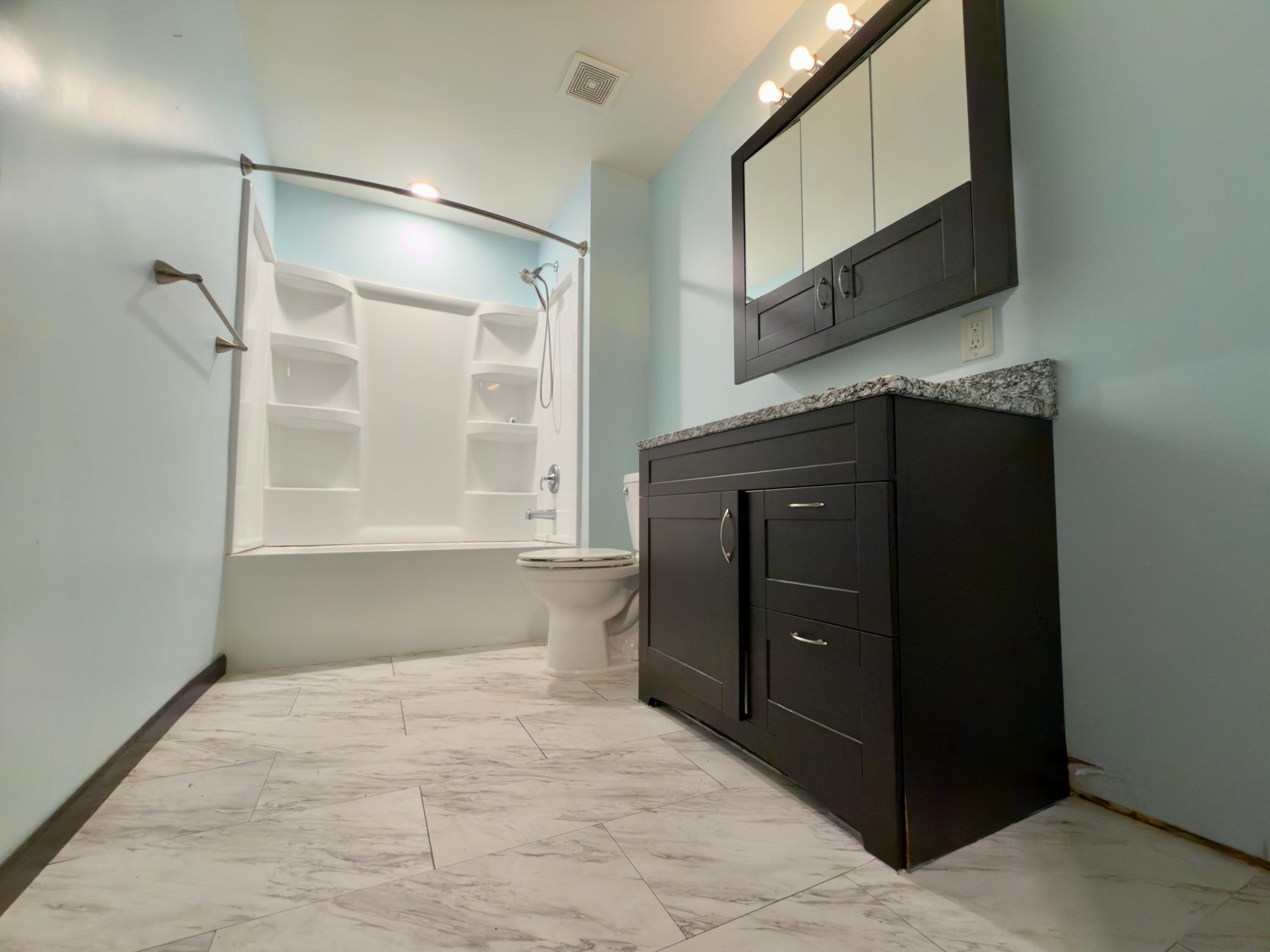 Lower level full bath and shower