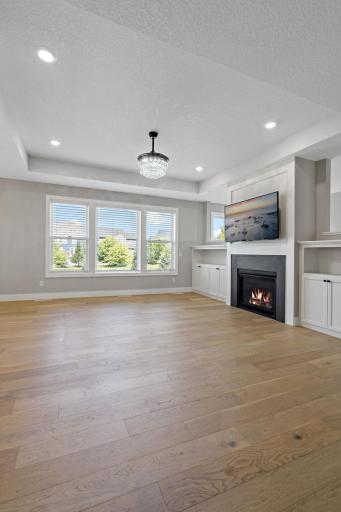 Pro_LR & Fireplace.jpg