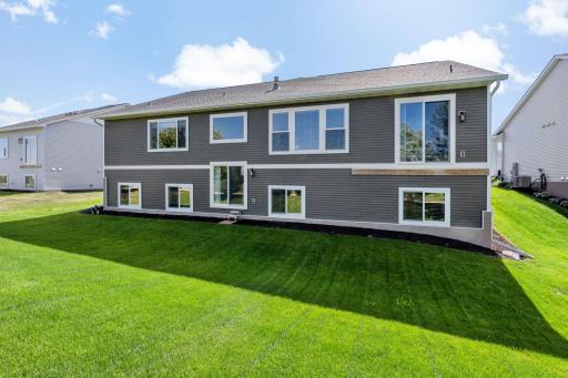 Pro_Backyard 4.jpg
