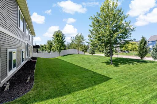 Pro_Backyard 5.jpg