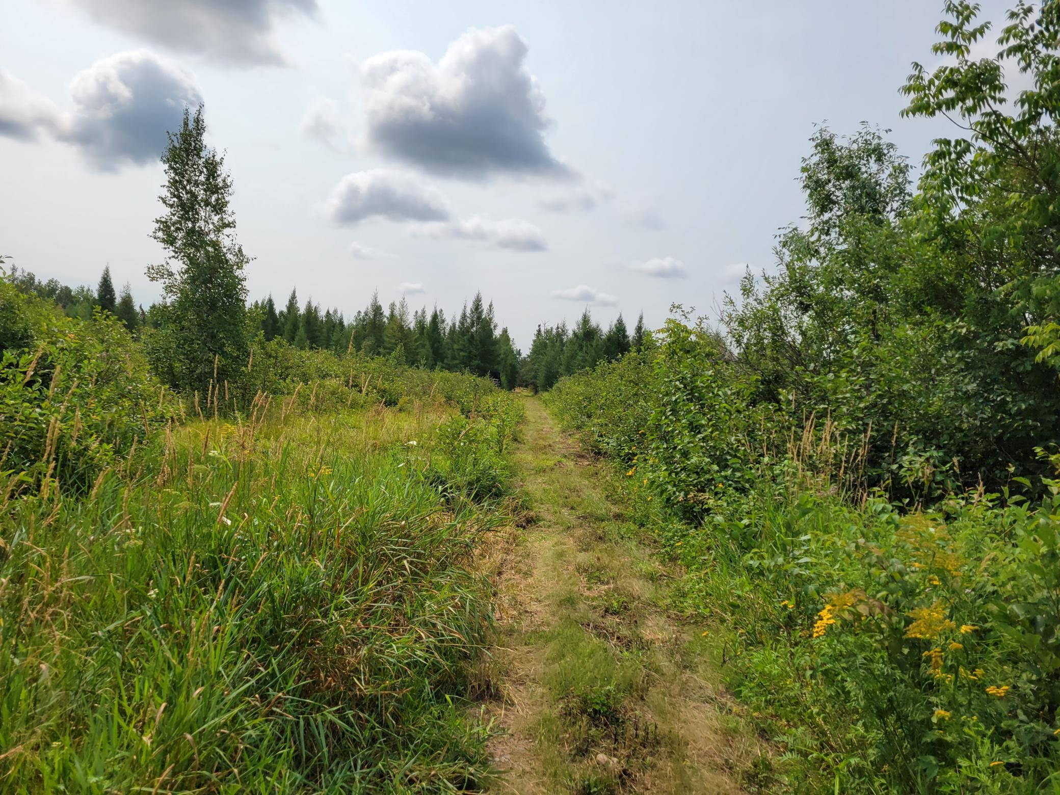 South east access trail