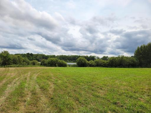 TBD Woodbury Drive, Wright, MN 55798