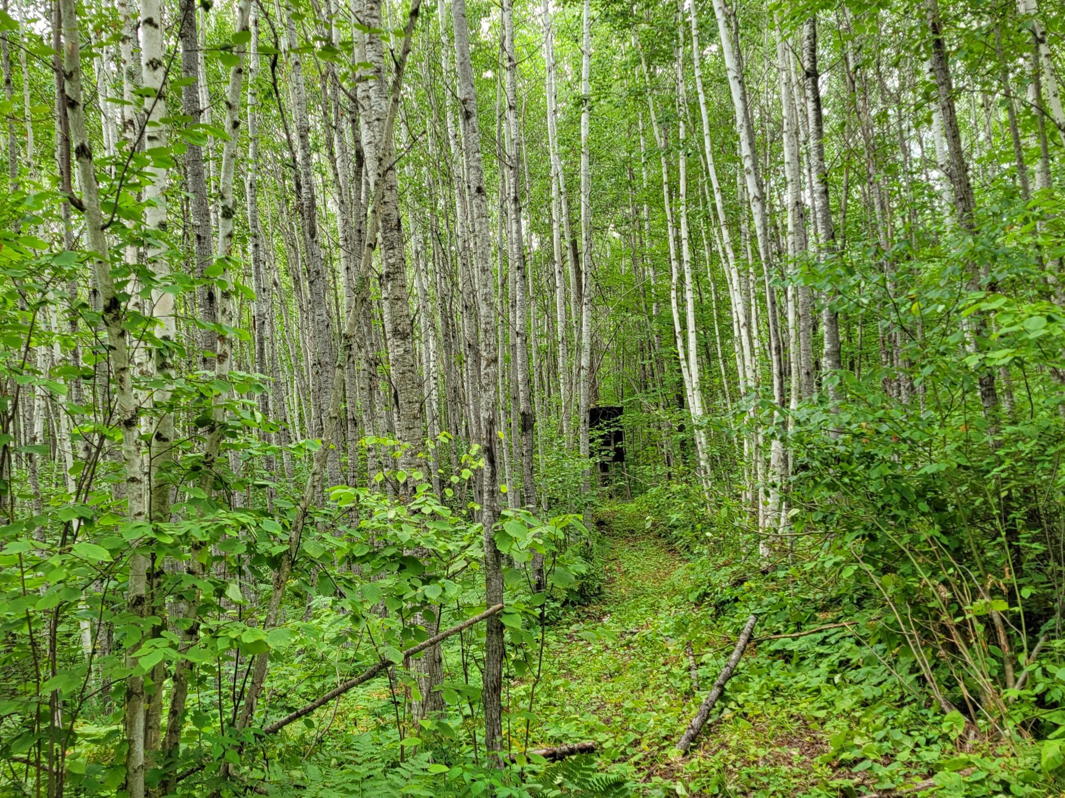Deer stand