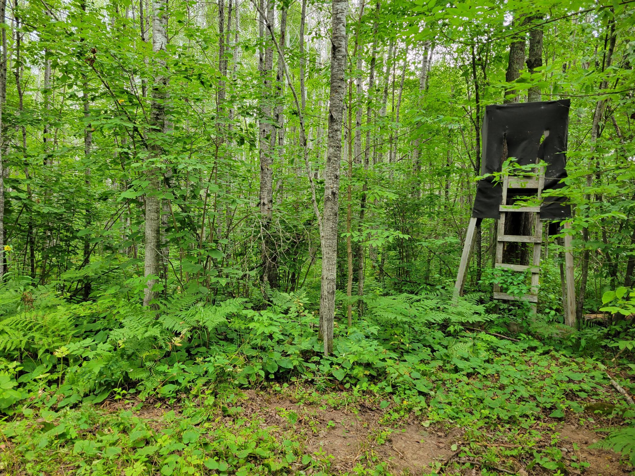 Deer stand