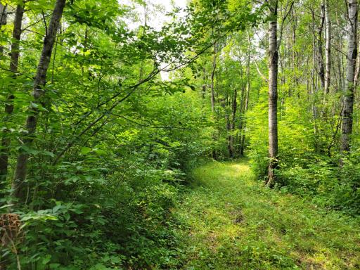 TBD Woodbury Drive, Wright, MN 55798