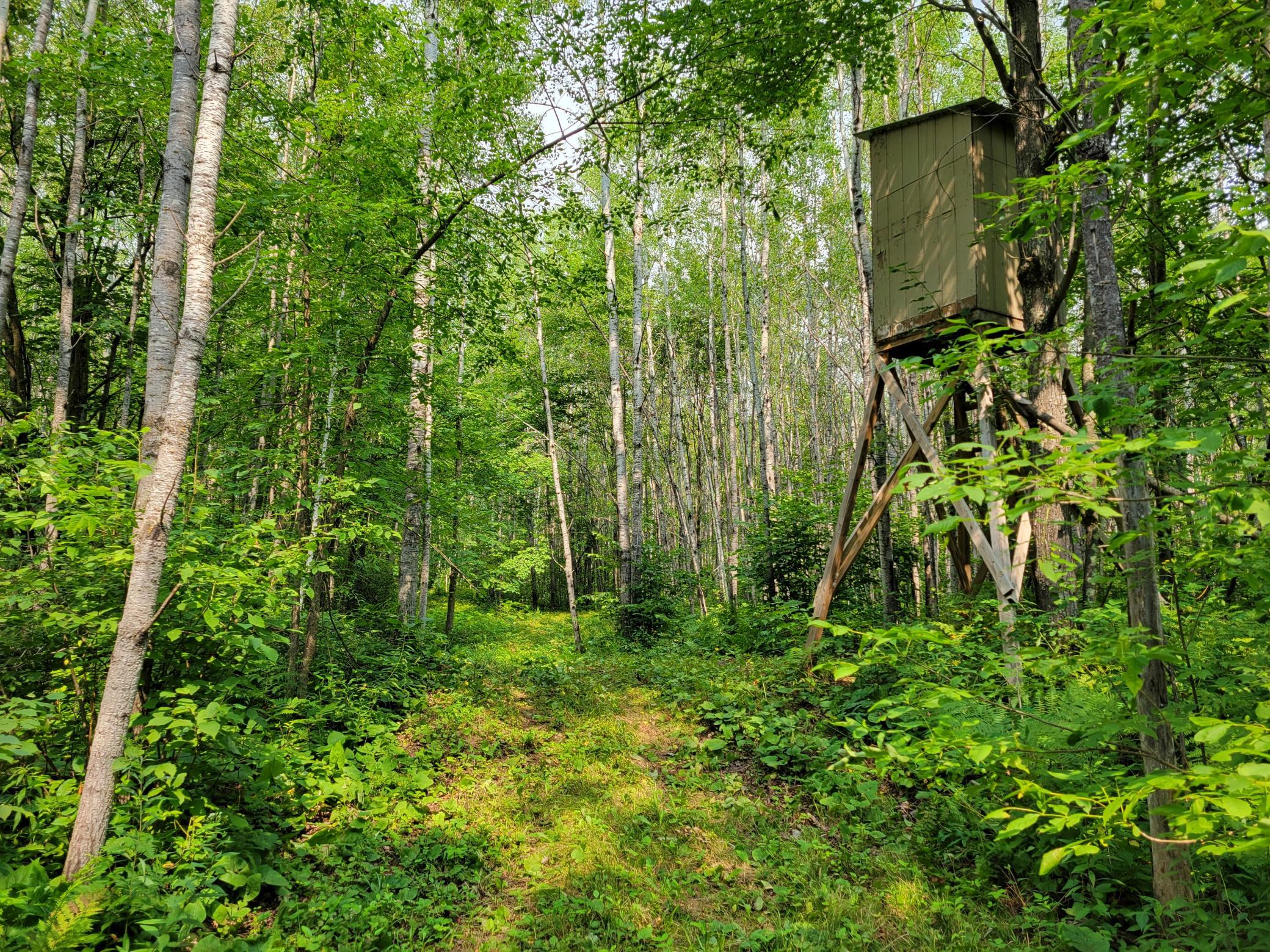 one of four deer stands