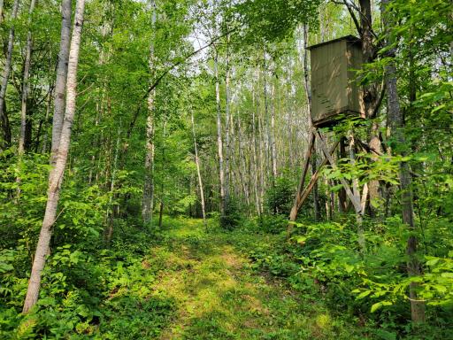TBD Woodbury Drive, Wright, MN 55798