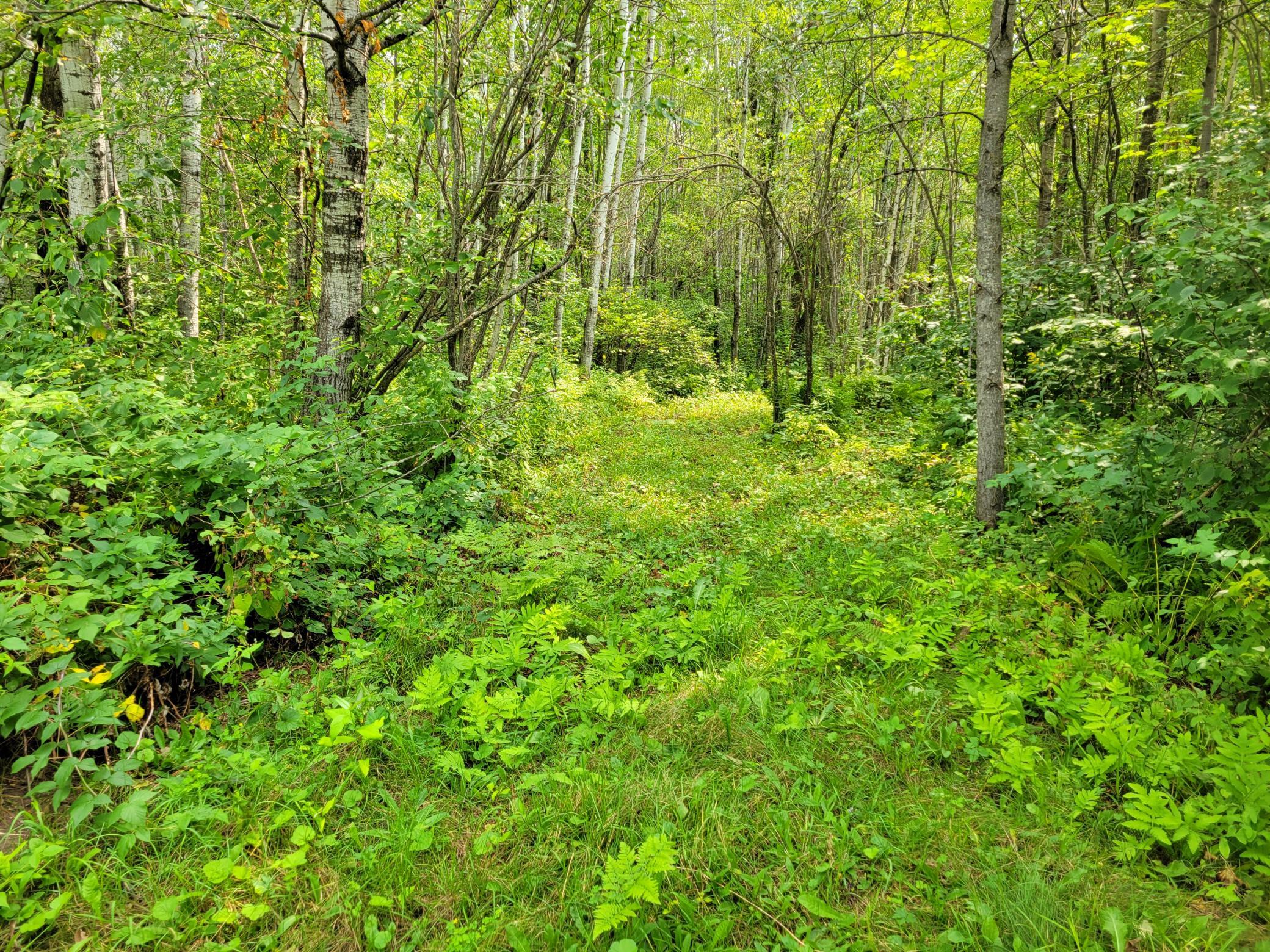 West side of property