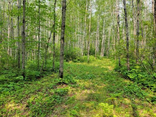 TBD Woodbury Drive, Wright, MN 55798