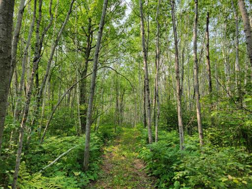 TBD Woodbury Drive, Wright, MN 55798