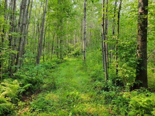 TBD Woodbury Drive, Wright, MN 55798