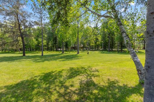 37016 Delta Bay Road, Pine River, MN 56474