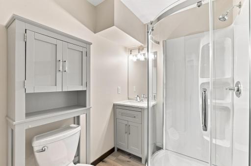 Lower level bathroom