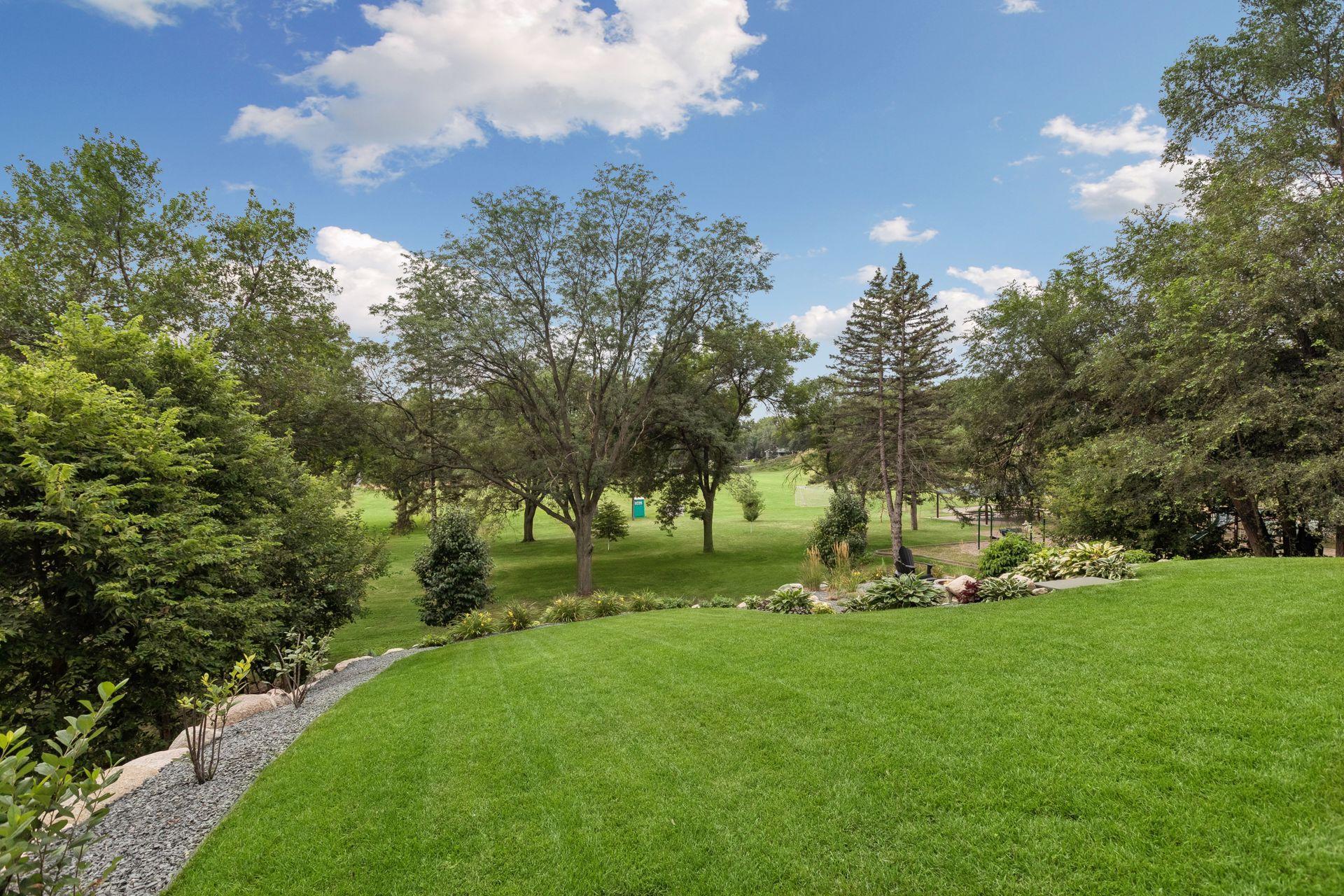 Back yard