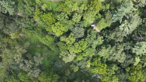 DJI_20260824130901_0848_D.JPG