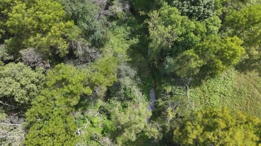 DJI_20260824131300_0855_D.JPG