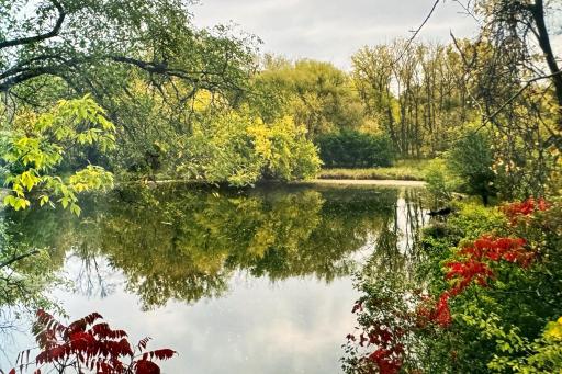 The river landscape changes throughout the seasons