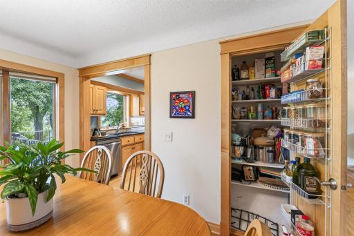 Handy pantry closet