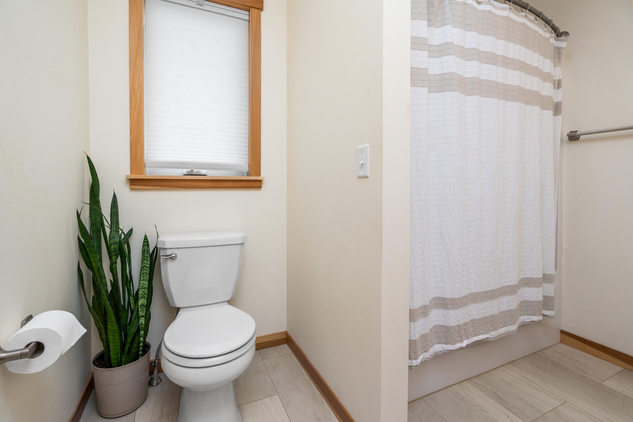 20260809_1312_KilldeerAve_Sartell_Interior_12.jpg