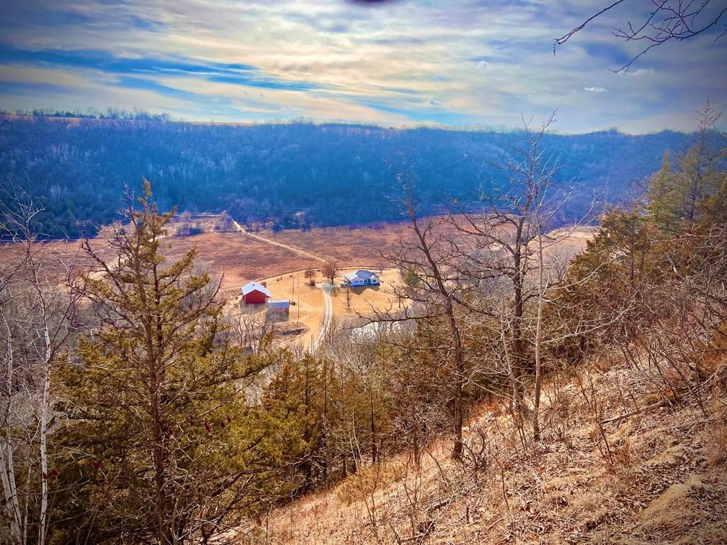 bluff view 2.jpg